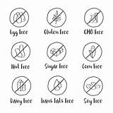 Allergy Icons Food Vector Isolated Illustration sketch template