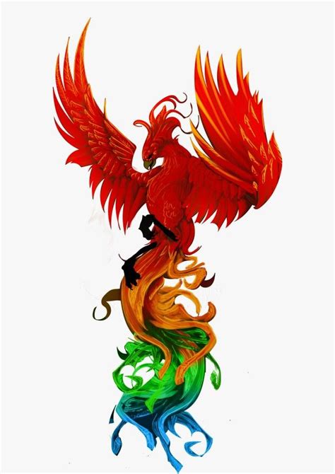 phoenix colour draft phoenix artwork pheonix tattoo pheonix drawing