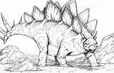 Stegosaurus Dinosaur Styracosaurus Deviantart sketch template