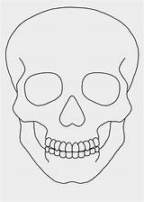 Skull Drawing Outline Simple Human Line Drawings Clip Skeleton Easy Face Cartoon Draw Sketch Clipart Tattoo Jing Fm Designs Pencil sketch template