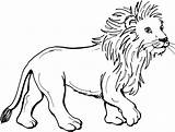Lion Coloring Cute Pages Getdrawings sketch template