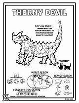 Devil Thorny Coloring Pages Designlooter Materials Color Wild Teaching Drawings Sheets Activities 41kb 350px Choose Board Teacherspayteachers Reading sketch template