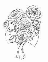 Bouquet Rosas Bunch Getdrawings Bokay sketch template