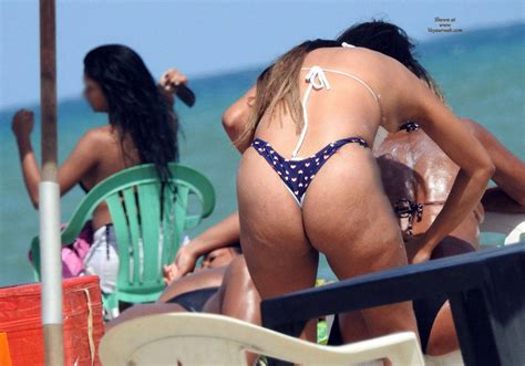 Asses From Recife City Brazil 20466 February 2017