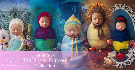 disney princess collection newborn digital backdrop