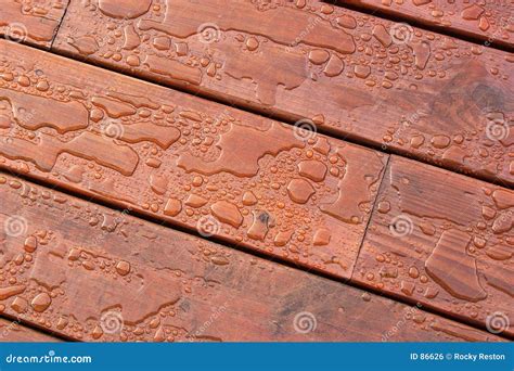 water  deck stock photo image  texture wood deck