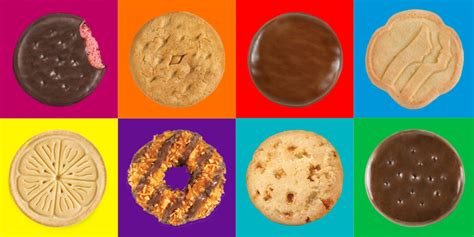 complete guide   single girl scout cookie flavor
