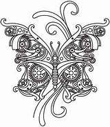 Butterfly Colouring Steam sketch template