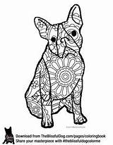 Coloring Pages Dog Book Books Terrier Boston Collie Blissful Border Wild Ready Colors Some sketch template