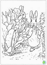 Rabbit Peter Coloring Print Popular sketch template