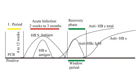 hepatitis  virus part  surface antigen hbs  elisa australia