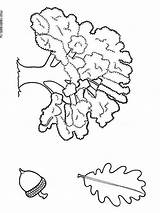 Tree Oak Coloring Pages Color Printable Trees Kids Recommended sketch template