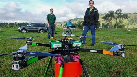 tree planting drone  plant  trees   day