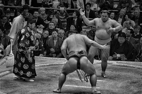 grayscale photo  sumo wrestling surrounded  people  stock photo