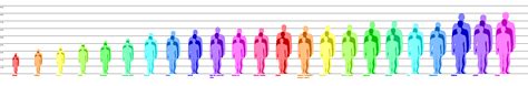 setting agnostic race height chart minimum average maximum heights