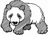 Panda Coloring Pages Bear Printable Drawing Cute Kids Clipart Realistic Color Giant Print Mammals Adults Bears Cliparts Pokemon Chinese Categories sketch template