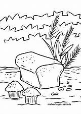 Getreide Backen Malvorlage Malvorlagen sketch template