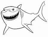 Nemo Bruce Shark Coloringhome Educative sketch template