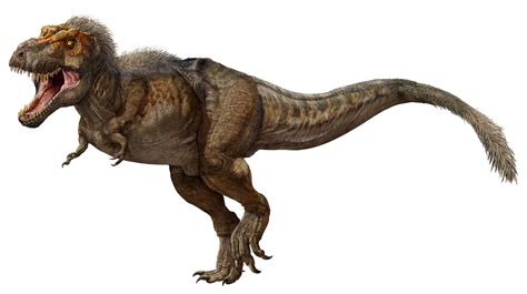 rex discovered  canada   biggest  oldest