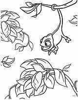 Coloring Tangled Pages Pascal Rapunzel Disney Chameleon Printable Colouring Color Getcolorings Print Ecoloringpage Tower Flynn Choose Board Coloriage Friends Chameleons sketch template