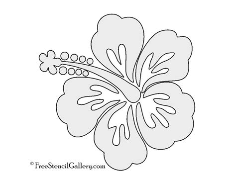 hibiscus flower stencil hibiscus flower drawing flower drawing images