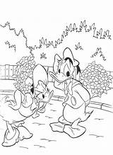Disney Paperino Paperina Sgrida Donaldduck Coloradisegni Classici Pato Trickfilmfiguren Colorir sketch template