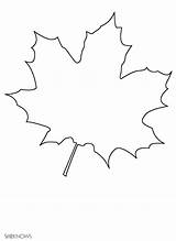 Maple Leaf Coloring Leaves Fall Pages Printable Kids Print Autumn Template Stencil Templates Pattern Tree Craft Top Hoja Stamps Thanksgiving sketch template