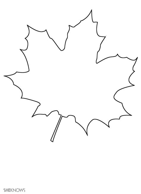 templates  leaves colouring pages