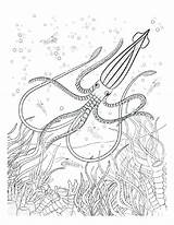 Coloring Pages Sea Underwater Animals Adult Book Adults Baby Under Deep Ocean Colouring Getdrawings Oceana Creative Animal Getcolorings sketch template