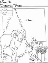 Colorado State Coloring Pages Getcolorings Bird sketch template