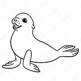 Seal Seals Mayka sketch template