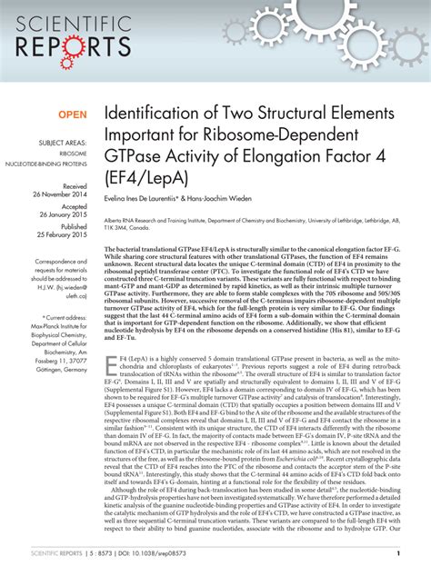 Pdf Identification Of Two Structural Elements Important For Ribosome