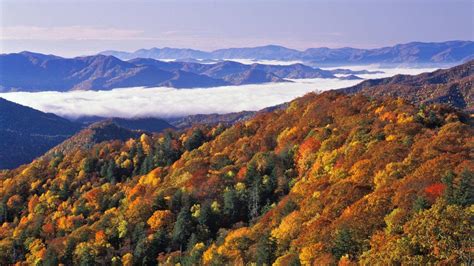 great smoky mountains national park wallpapers top  great smoky