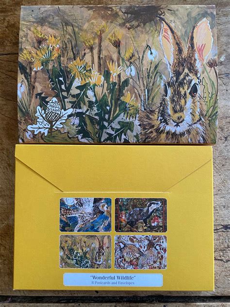 wonderful wildlife set of 8 postcards and envelopes clare o neill