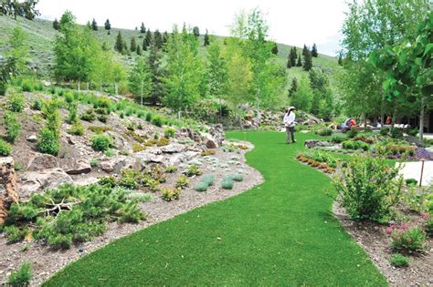 beauty  xeriscaping special sections mtexpresscom
