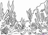 Coral Reef Drawing Draw Coloring Pages Ocean Fish Line Kids Sea Colouring Choose Board Animal sketch template