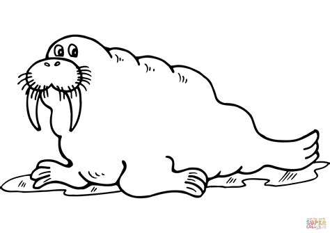 cartoon walrus coloring page  printable coloring pages