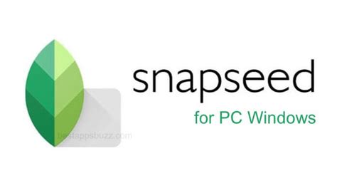 skype for pc laptop windows xp 7 8 8 1 10 32 64 bit
