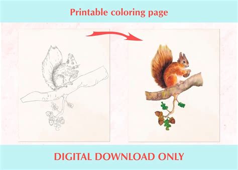printable coloring page coloring page  kids animal etsy