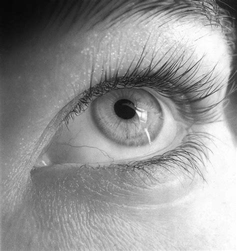 amazing photorealistic drawings draw central
