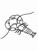 Crawfish Crayfish Coloring Clipart Drawing Pages Clip Boil Sketch Crawdad Christmas Shirts Printable Vinyl Kids Clipartbest Danube Fun School Getdrawings sketch template
