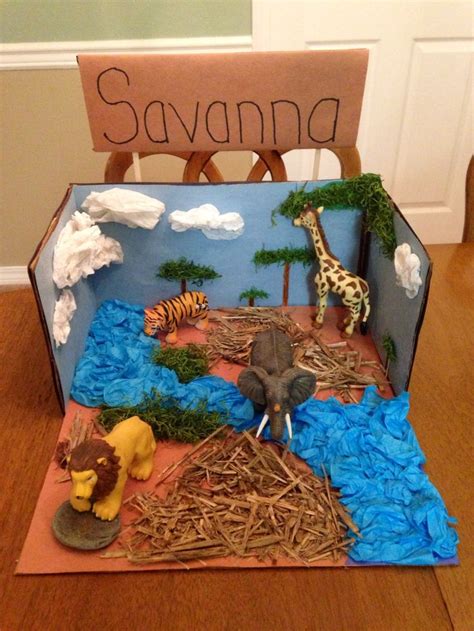 savanna biome project biomes project diorama kids ecosystems projects