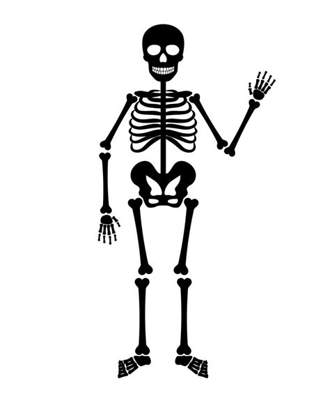 vector halloween black skeleton  smartstartstocker thehungryjpeg