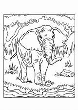 Savane Afrique Coloriages Africains Africaine Adulte Hugolescargot éléphant Sauvages sketch template