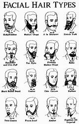 Different Types Of Beards Images