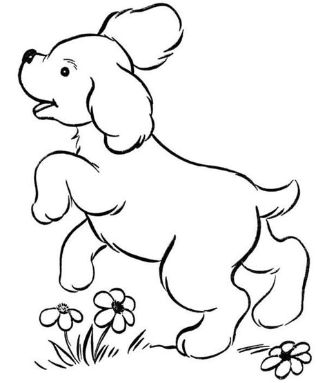 animal colouring pages   print animal coloring