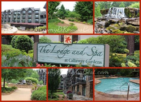 lodge  spa  callaway gardens  family vacation  pine