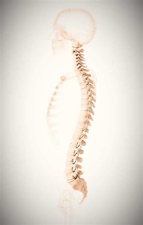 health   spine