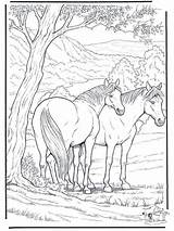 Pages Coloring Hard Horses Getcolorings Color sketch template