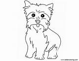 Yorkie Coloring Pages Printable Cute Easy Drawing sketch template